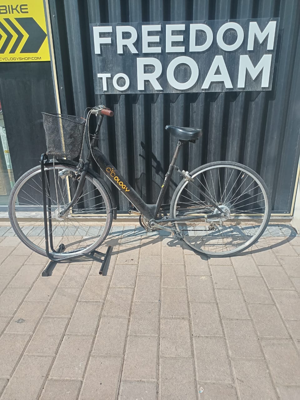 TSH Adult Bike 4